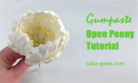 Gumpaste Open Peony Tutorial Cake Geek Magazine Gum Paste Gum Paste Flowers Tutorials
