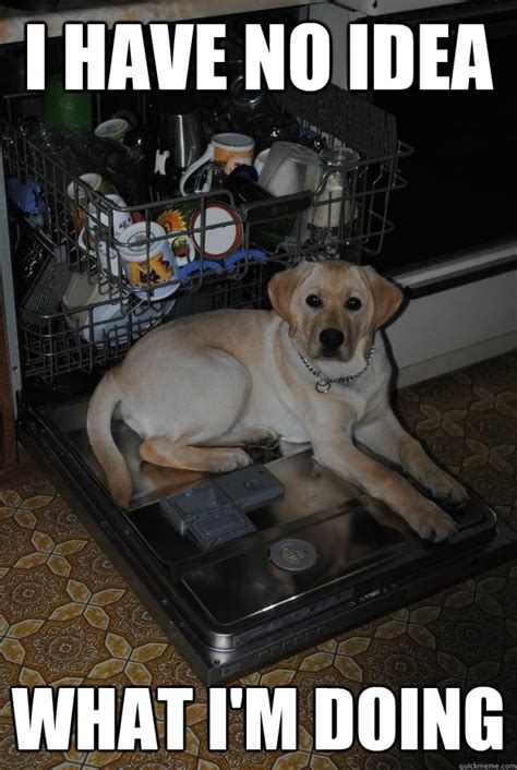 Memes, gifs and funny pics. Dishwasher Memes