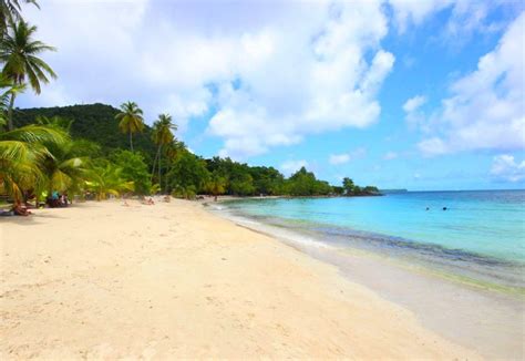 Entdecken sie reiseziele weltweit mit einer vielzahl fantastischer urlaubsangebote. Martinique Urlaub: Ein Stückchen Europa in der Karibik ...