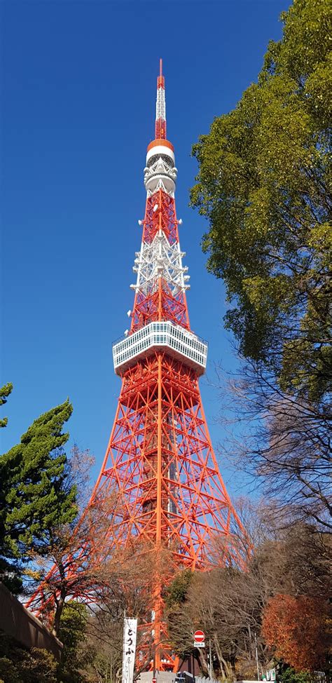 Reminiscing My Time At The Tokyo Tower Alo Japan