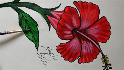 Hibiscus Drawing For Beginners How To Draw Hibiscus Flower With
