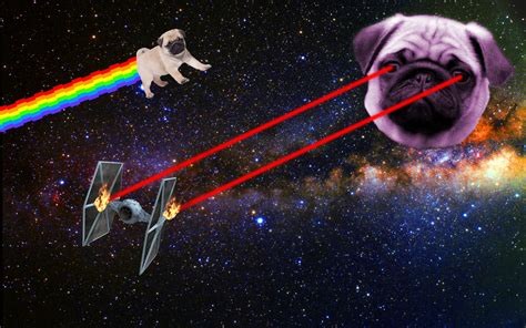 Pugs In Space By Jaredtwidalepro On Deviantart