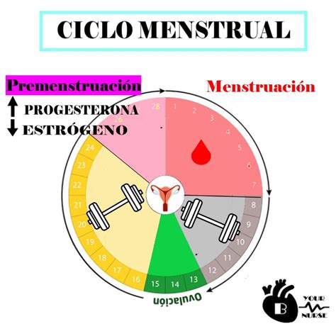 Mujer menstruación y ejercicio físico Byournurse