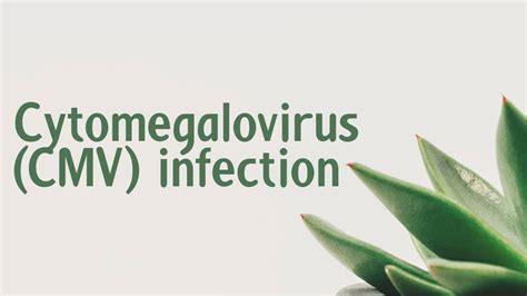Cytomegalovirus Cmv Infection Symptoms Causes Treatment