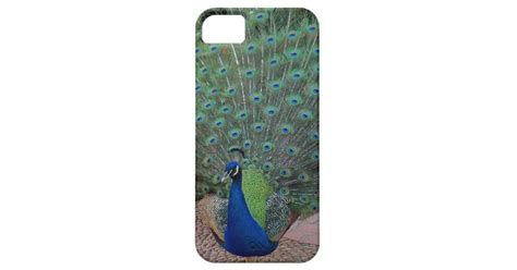 Peacock Iphone 5 Case Zazzle