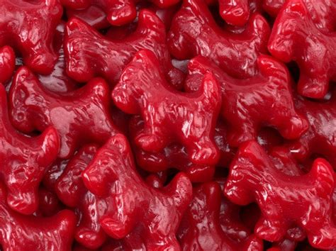 Red Wild Cherry Licorice Scotties 5lb