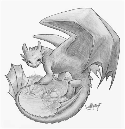 Toothless By Catsandscales Dessin De Dragon Art Dessin
