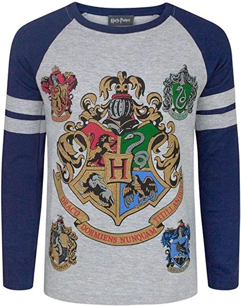 Harry Potter Hogwarts Houses Crest Boys Raglan Long Sleeve Grey T Shirt