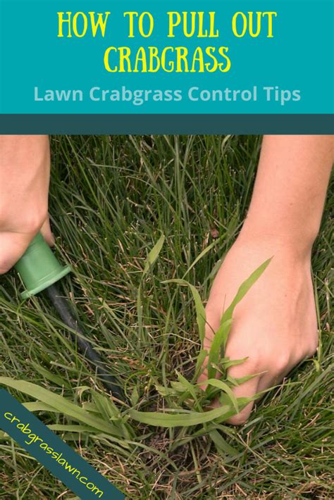 Say Goodbye To Crabgrass Forever