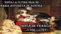 Sofía de Francia (1786 -1787) – La Última Hija del Rey Luis XVl y María ...