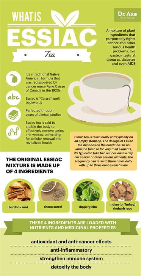 What Is Essiac Tea And What Can It Do For Your Health Infographic