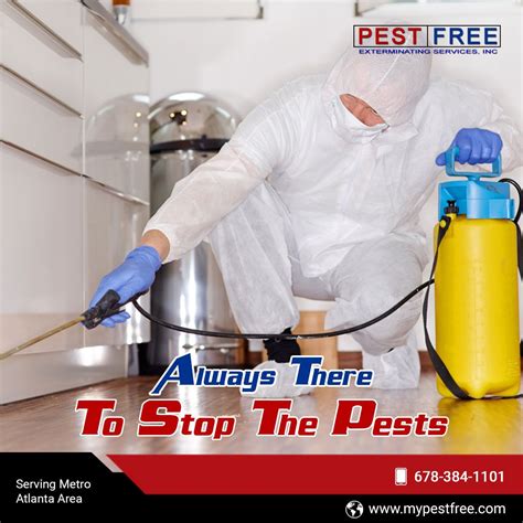 Beat Pests With The Best Pest Control Company Around Give Us A Call