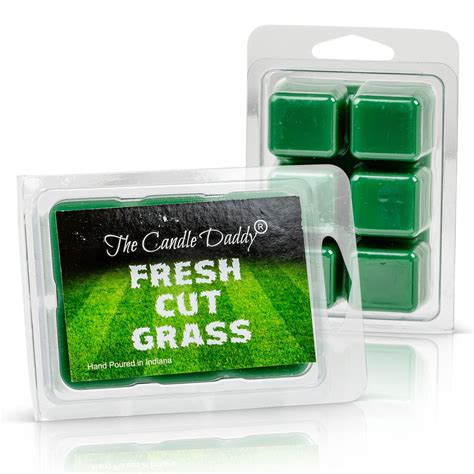 Fresh Cut Grass Scented Wax Melts Ebay