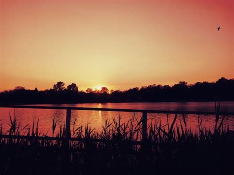 Free Images Sunset Evening Nature Reflection Afterglow Natural
