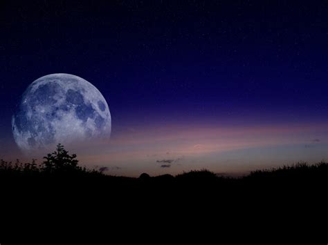 Moonlit Night Picture We Need Fun