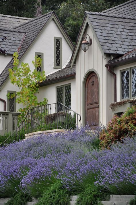Beautiful Use Of Lavender In Landscaping Lavender Cottage Lavender
