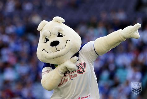 Canterbury Bankstown Bulldogs Mascot Bulldog Mascot Bulldog Mascot