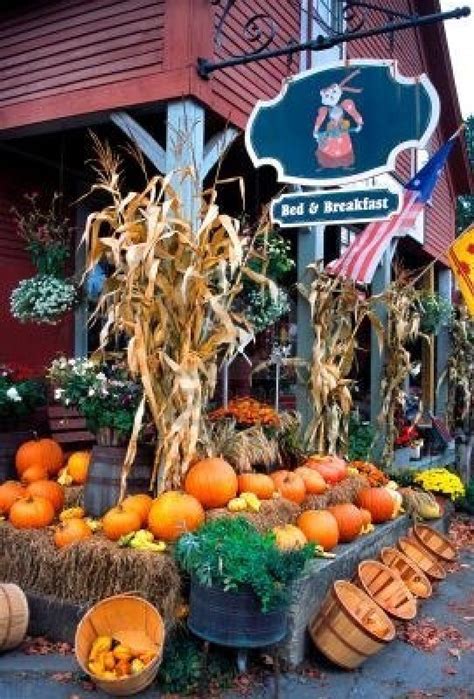 Pumpkins Display During Autumn In Vermont Usa Pumpkin Display Fall