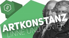 Theorie der Artkonstanz – Linné und Cuvier – Evolution - YouTube