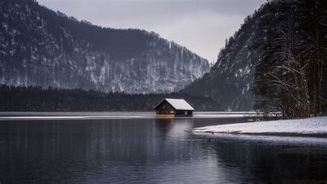 Tree Boathouse Nature Winter House Mountain Forest Cabin