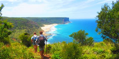 Australian East Coast Adventurer Greyhound Australia