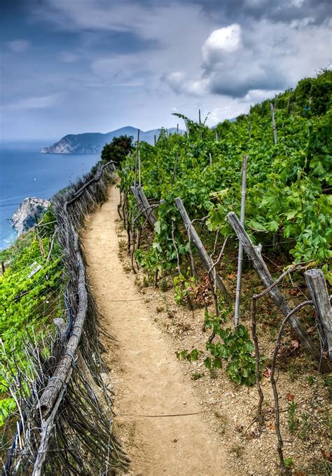 Hiking Cinque Terre Italy Italy Pinterest