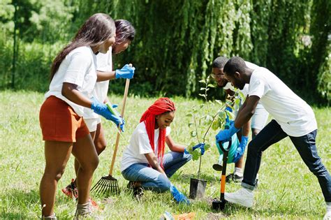 Planting Trees To Curb Climate Change Jamaica Information Service