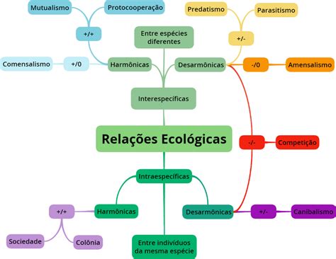 Exercícios Sobre Relações Ecológicas 7 Ano