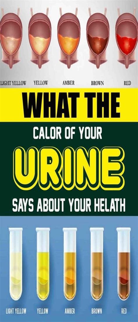What The Color Of Your Urine Says About Your Health Wellness