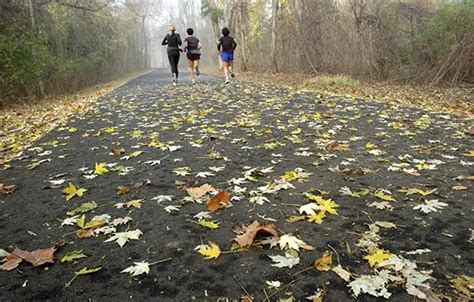 Make This Fall Your Best Running Season Ever