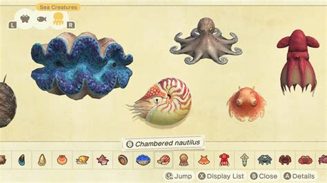 Animal Crossing New Horizons July Sea Creatures