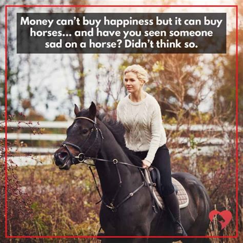 A Collection Of Equestrian Memes That Youll Love