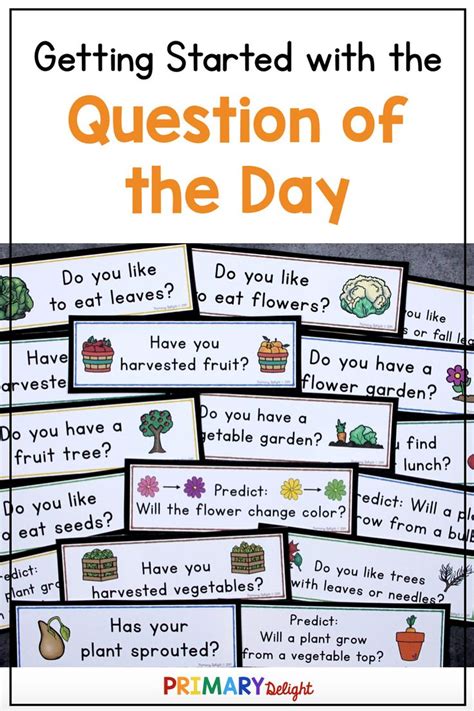 Getting Started With The Question Of The Day Routine This Or That