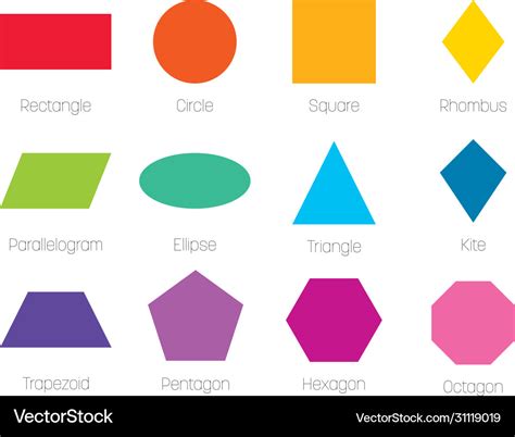 Geometric Shapes With Labels Set 12 Basic Vector Image