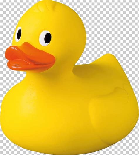 Rubber Duck Png Clipart Rubber Duck Free Png Download