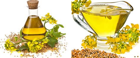 What Is The Difference Between Palm Oil And Rapeseed Oil