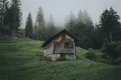 24804 Mountain 4k Forest Hut Rare Gallery Hd Wallpapers