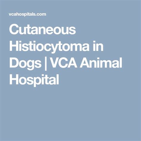 Cutaneous Histiocytoma In Dogs Vca Animal Hospital Animal Hospital
