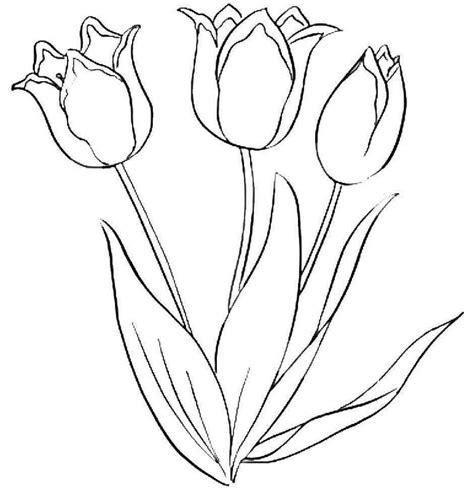 Beautiful flower coloring pages for the little ones. beautiful tulip flower coloring book | Virágok, Hímzés