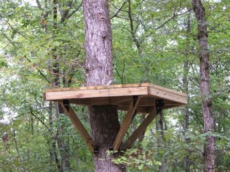It's basically a rope between two trees with a seat that travels between them. platform for the the zip line | Tree house kids, Zip line ...