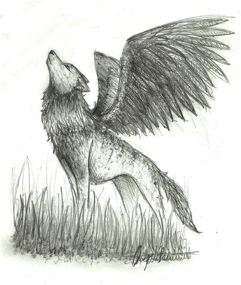 Wings Pencil Drawing Simple Pictures Of Winged Animals Wolves And Cats