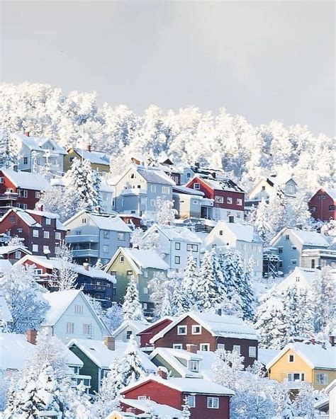 Snowy Tromso One Of The Most Beautiful Towns In Norway Tromso Norway