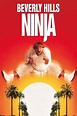 How to watch and stream Beverly Hills Ninja - 1997 on Roku
