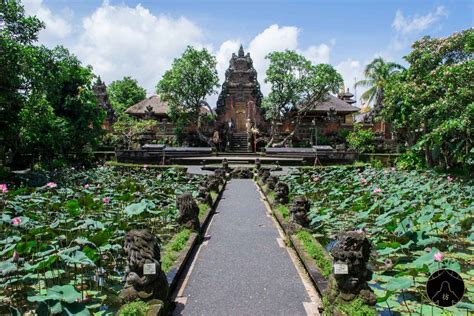Que Faire À Ubud 20 Lieux Incontournables à Visiter Absolument Ubud Bali Ubud Que Faire à Ubud