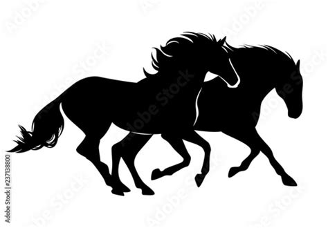 Pair Of Wild Mustang Horses Running Free Black Vector Silhouette