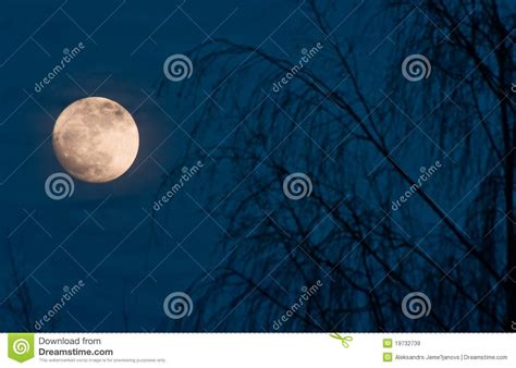 Full Moon Night Scene Royalty Free Stock Images Image