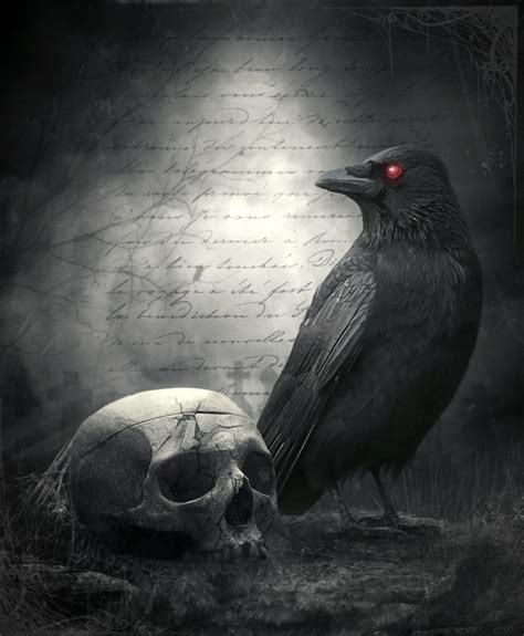 Raven And The Skull Beautiful Dark Art Dark Art Raven Art