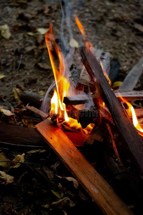 A Small Fire Bonfire On The Ground Stock Image Image Of Lifestyle