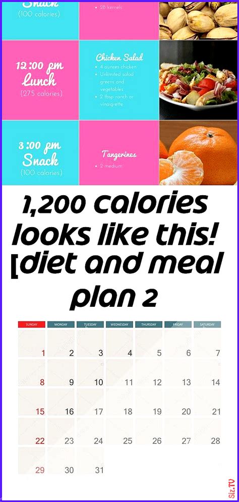 4000 Calorie Meal Plan Pdf Template