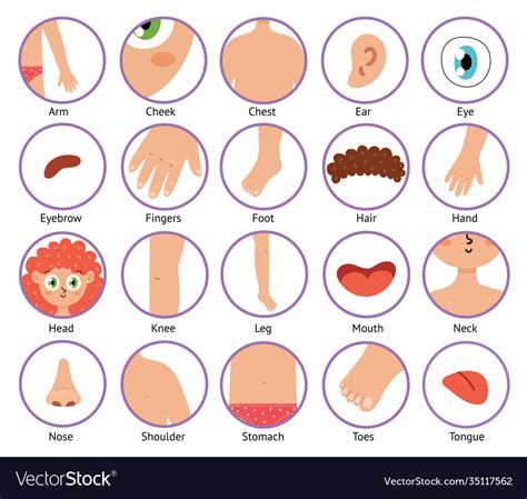 Body Parts Icons In Cartoon Style Collection Of Vector Image